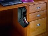 a hidden biometric gun safe