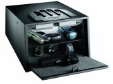 small biometric cash and gun safe